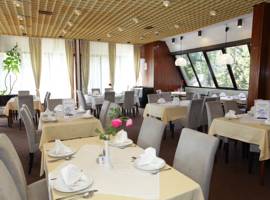image of Hotel Putnik Kopaonik