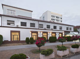 皮拉米达贝斯特韦斯特普拉斯酒店图片