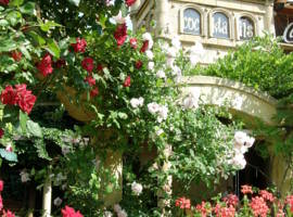 image of Hotel Bow Garden