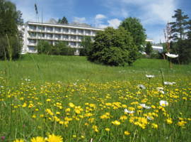 image of Hotel Morava