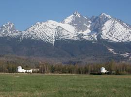 image of Penzion 2004