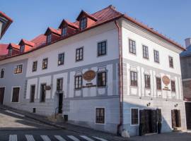 image of Hotel Salamander
