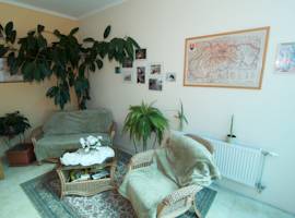image of Hotel Steve