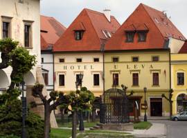 image of Hotel U Leva