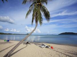 苏梅岛椰子海滩中心度假酒店图片