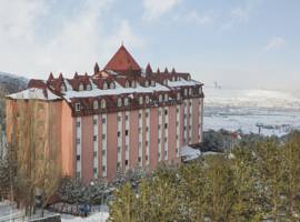 帕兰滑雪及会议度假酒店图片