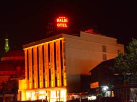 Haldi Hotel图片