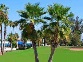 Arizona Golf Resort, Spa & Conference Center图片