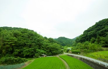 汤端温泉旅馆图片