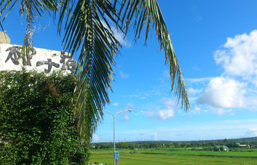 垦丁椰子宿图片
