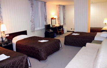 钻石鹤川酒店图片